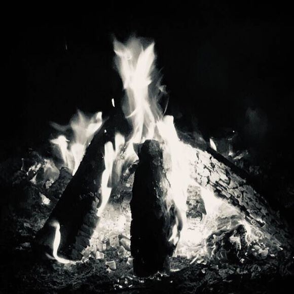 Meet your Posher, Jodi - Picture 1 of 1